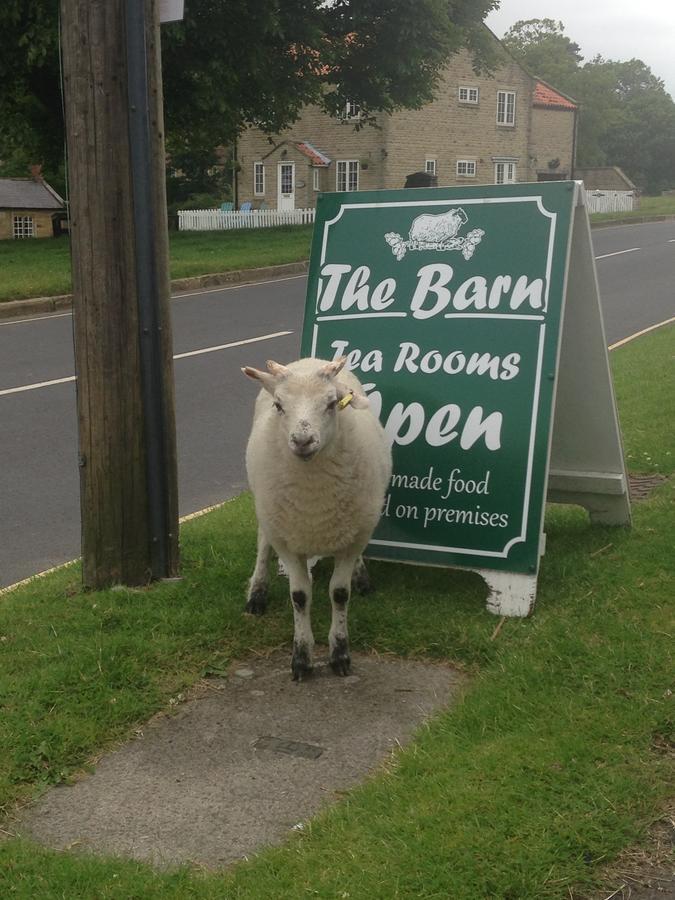 Hutton le Hole The Barn Guest House And Tearoom מראה חיצוני תמונה
